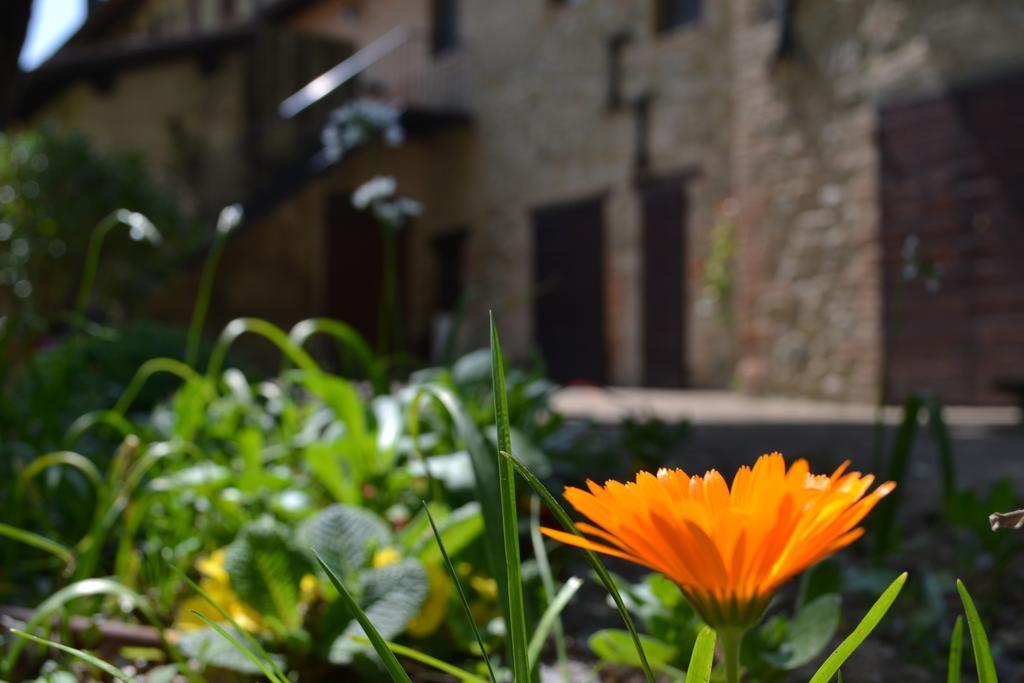 Agriturismo Nestore Kültér fotó