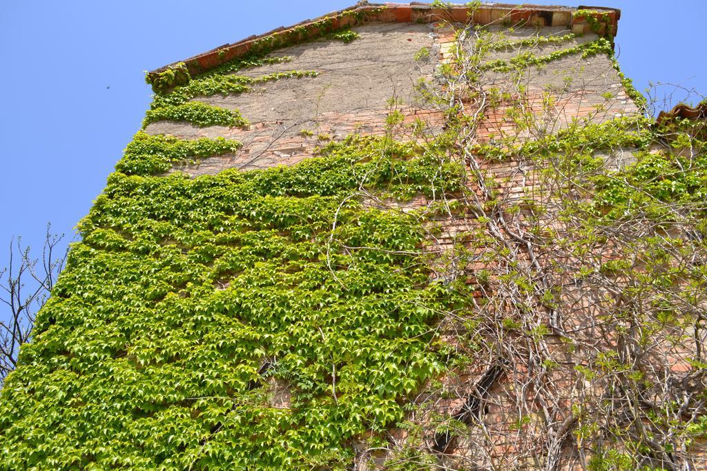 Agriturismo Nestore Kültér fotó