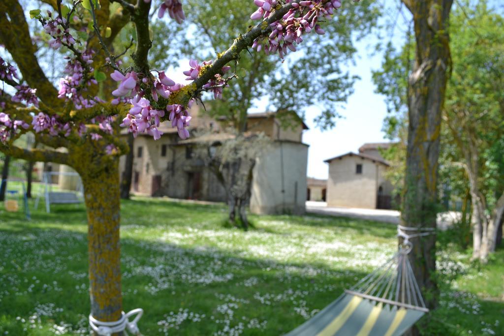 Agriturismo Nestore Kültér fotó